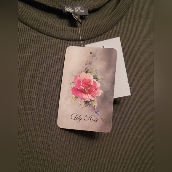 Lily Rose Green Knit Babydoll Long Sleeve Dress X Small NWT - Picture 2 of 6